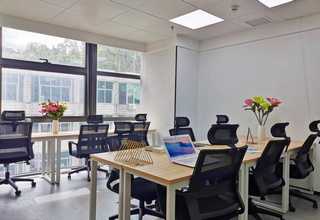 高级端午福利礼包