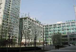 上海优牌茶树精油加盟公司